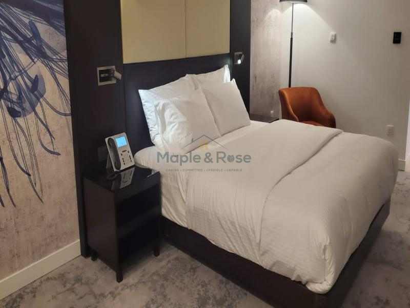 5 Star Room Great Investment Fully Furnished - 3